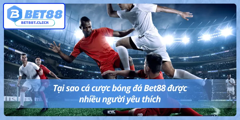 Sơ lược về cá cược bóng đá Bet88